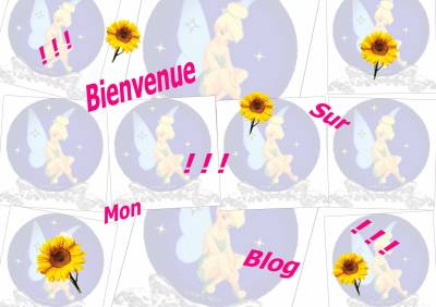 Bienvenue.